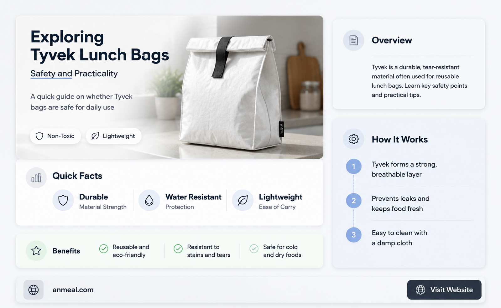 are tyvek lunch bags safe