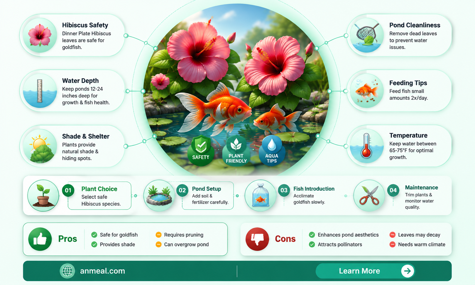 are goldfish safe ponds dinner plate hibiscus