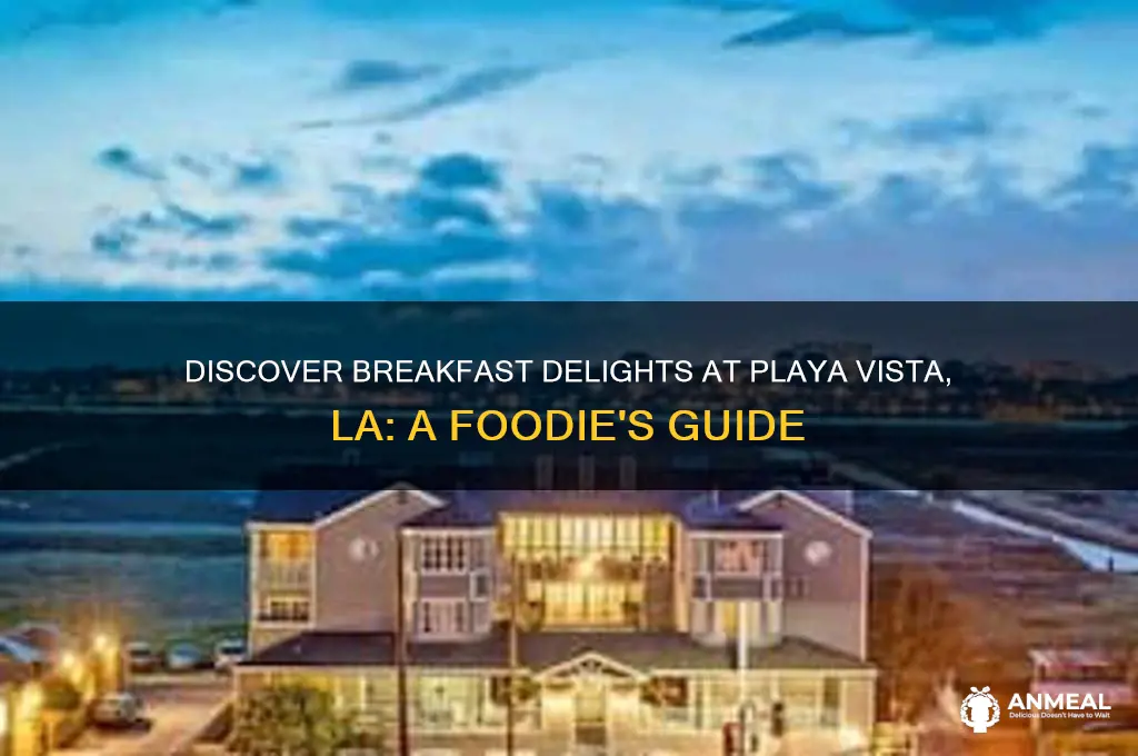 has breakfast playa vista la