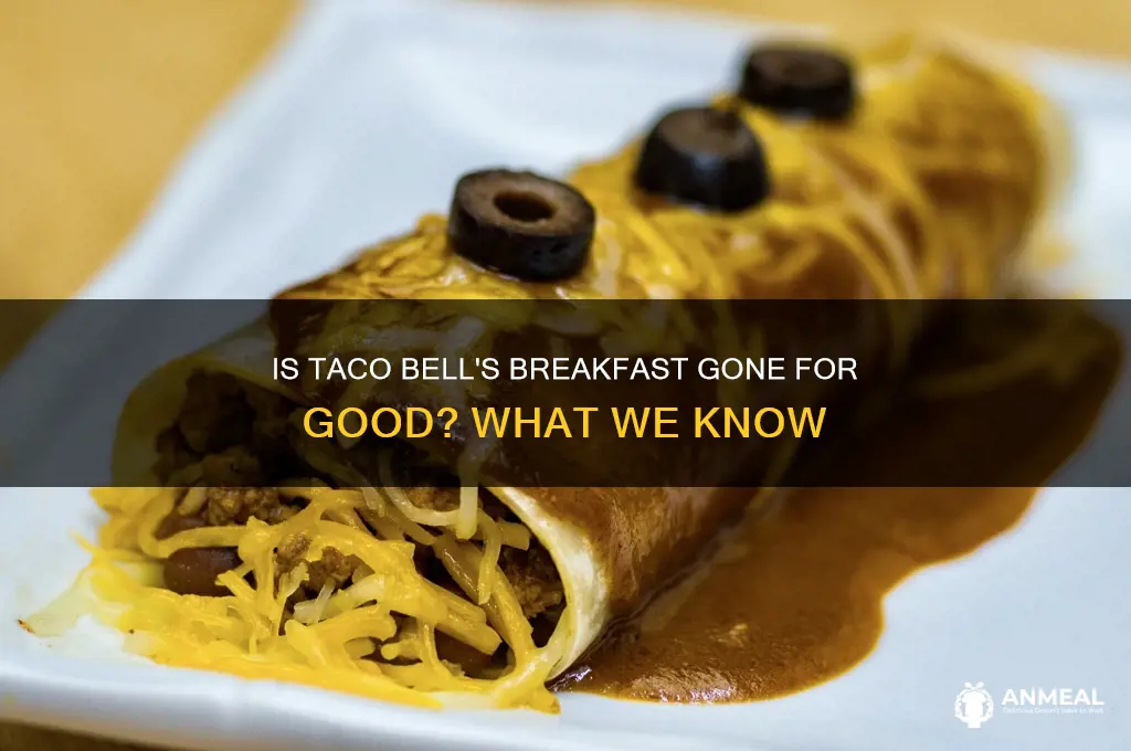 has taco bell discontinued breakfast