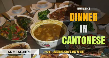 Savor Authentic Cantonese Cuisine: Tips for a Perfect Dinner Experience