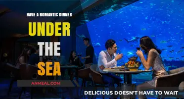 Underwater Romance: Experience a Magical Dinner Beneath the Ocean Waves