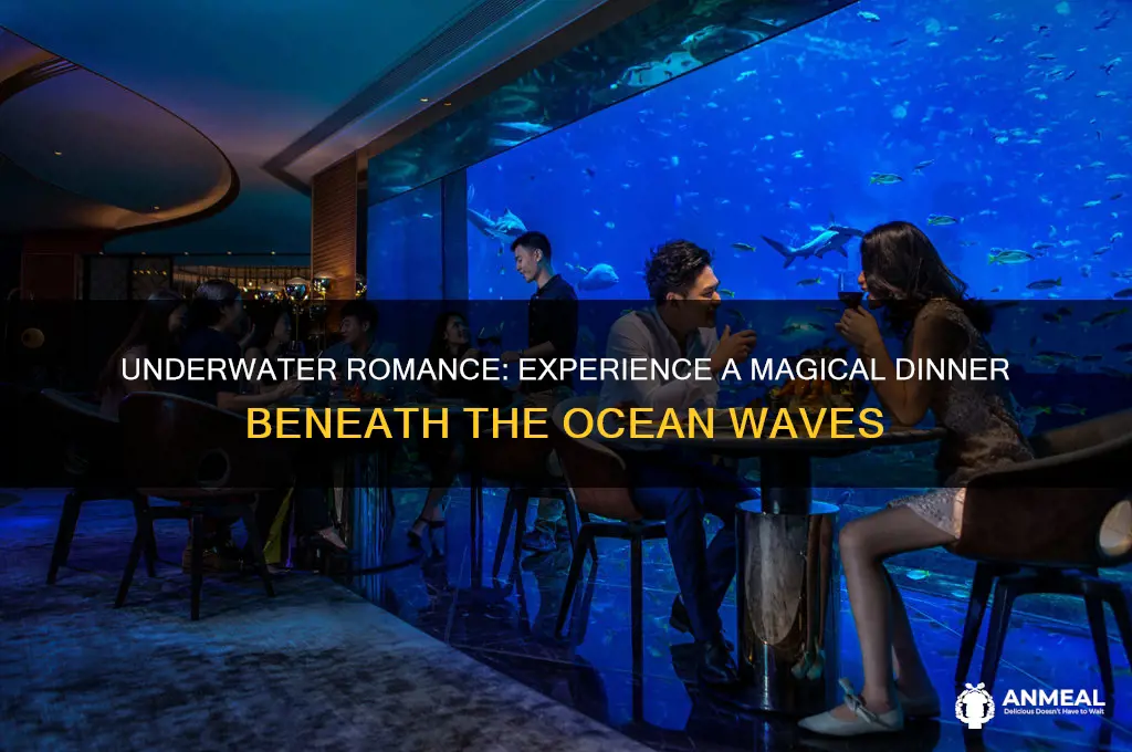 have a romantic dinner under the sea