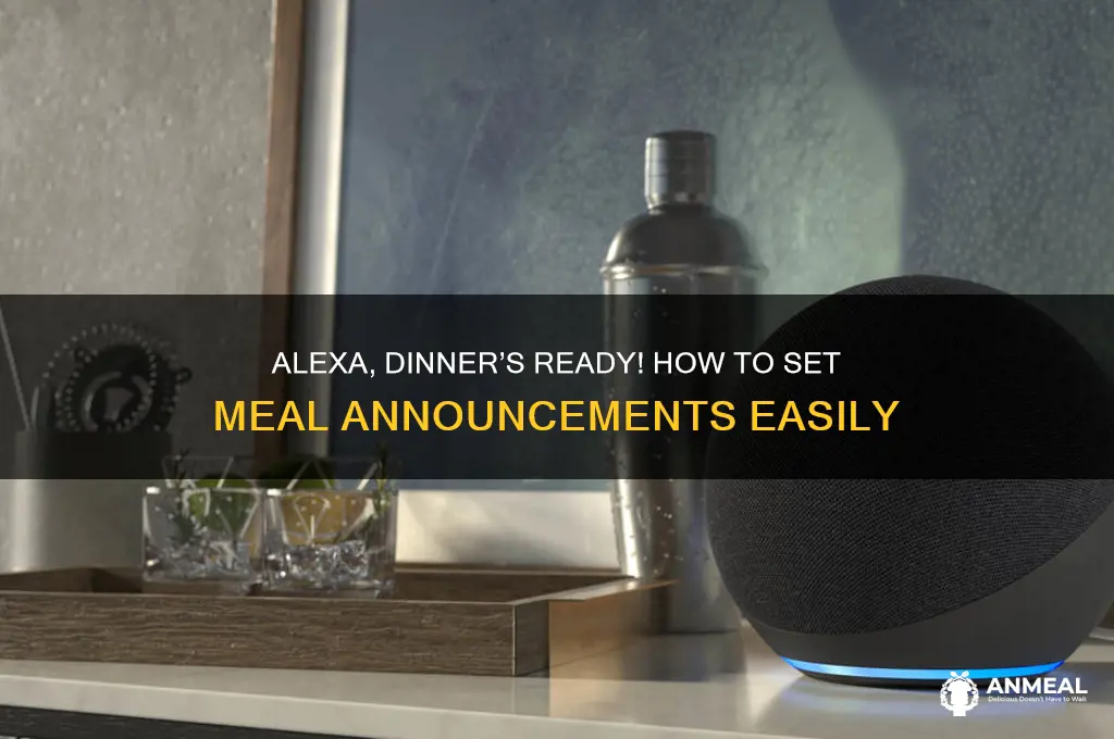 have alexa announce dinner is ready