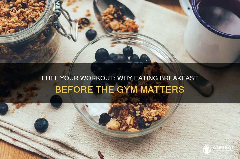 have breakfast before gym