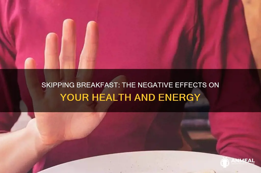 have breakfast forma negativa