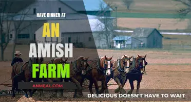 Experience Authentic Amish Farm-to-Table Dining: A Heartwarming Dinner Adventure