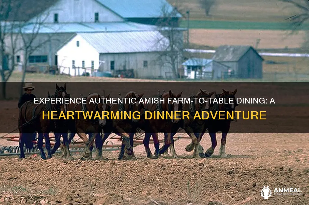 have dinner at an amish farm