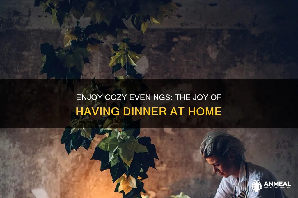 have dinner at home