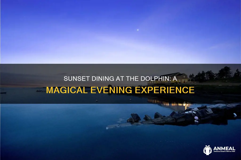 have dinner at the dolphin at sunset