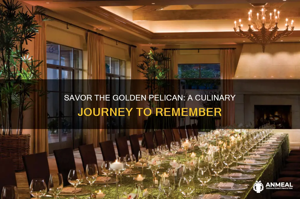 have dinner at the golden pelican