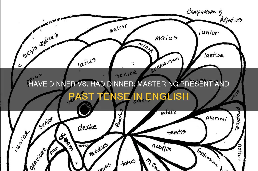 have dinner or had dinner