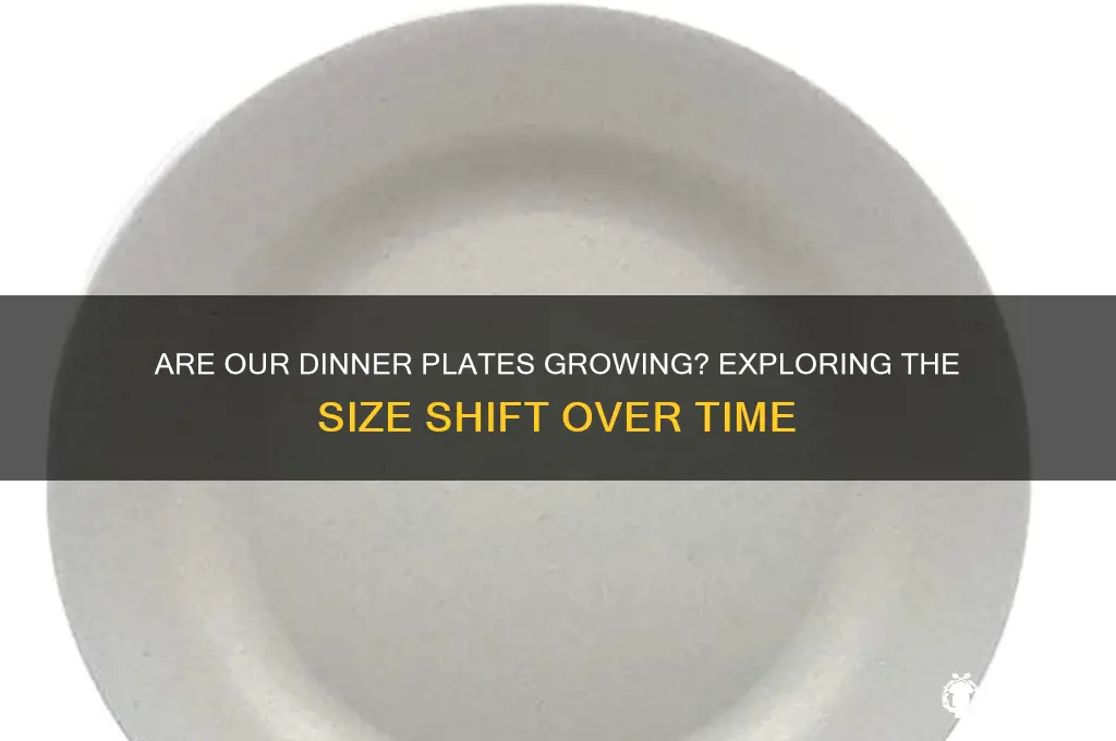 have dinner plates gotten bigger