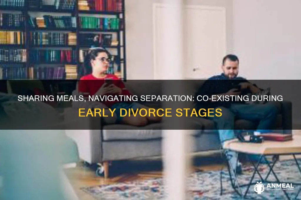 have dinner together still living together in beginning of divorce