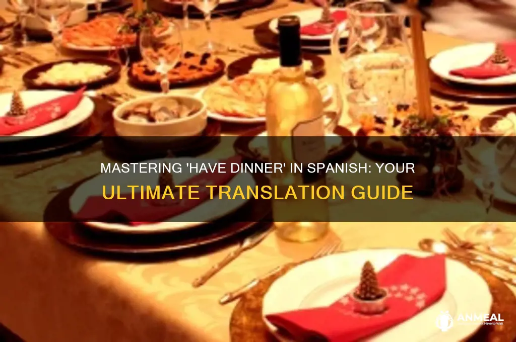 have dinner traductor
