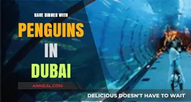 Dine with Penguins: Dubai’s Unique Underwater Dining Experience