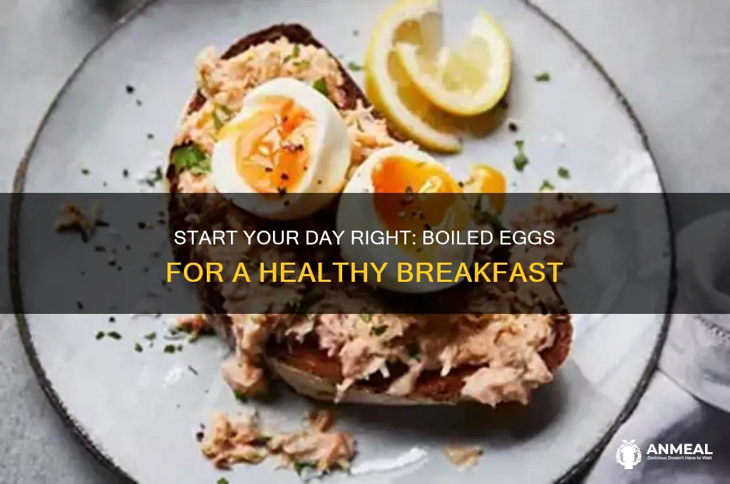 have for breakfast boiled eggs