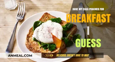 Poached Eggs: A Breakfast Adventure