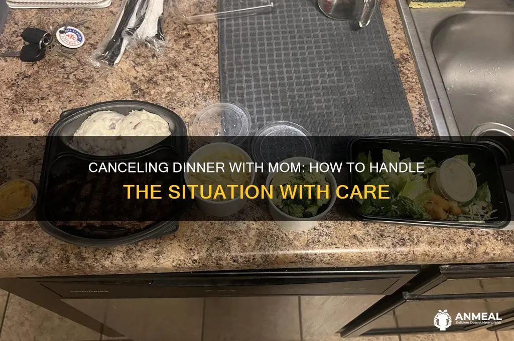 have to cancel dinner mom