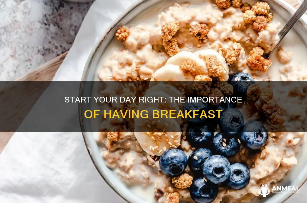 have you a breakfast