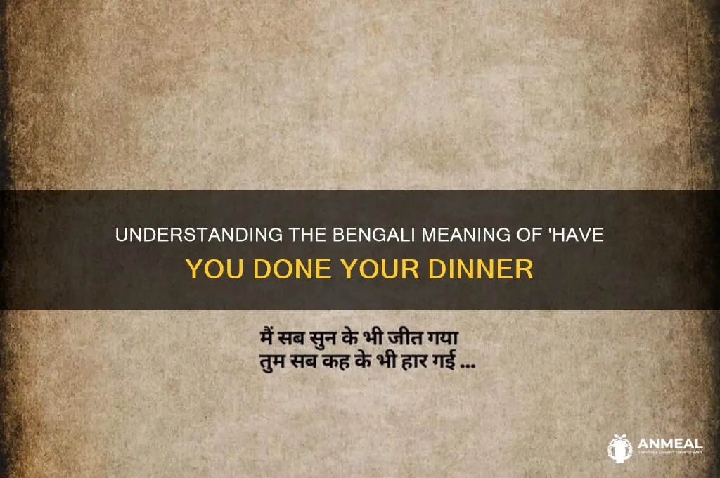 have you done your dinner meaning in bengali