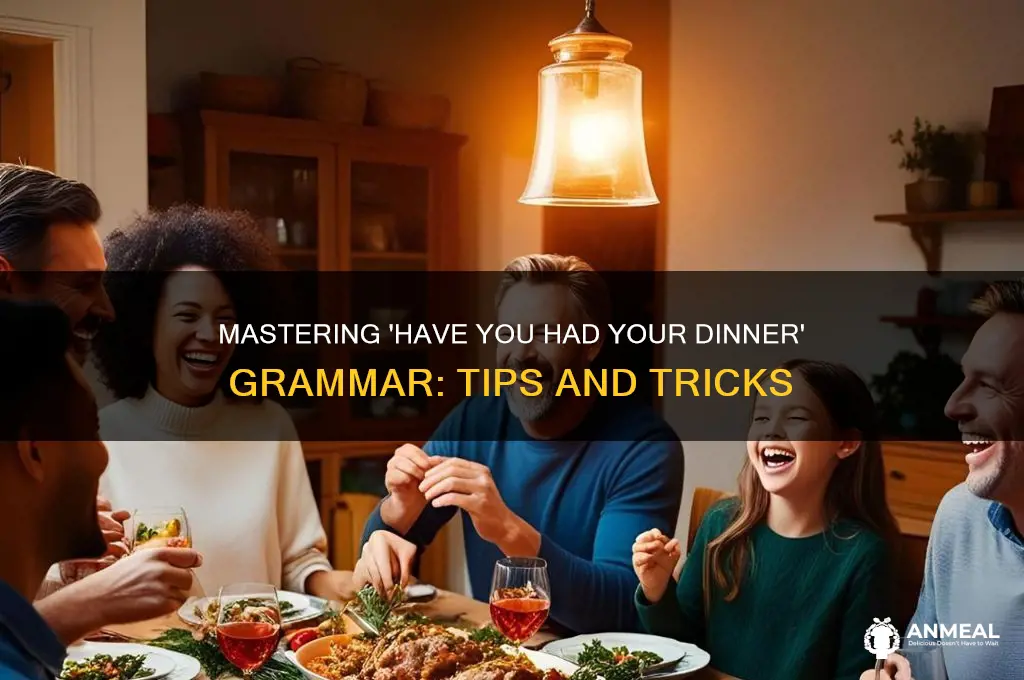 have you had your dinner grammar