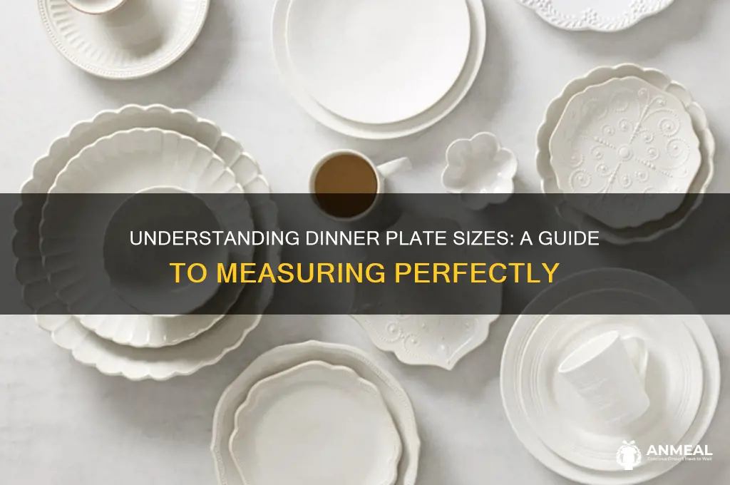 how are dinner plates measured