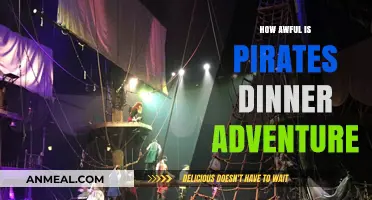 Pirates Dinner Adventure: A Disappointing Experience or Worth the Hype?