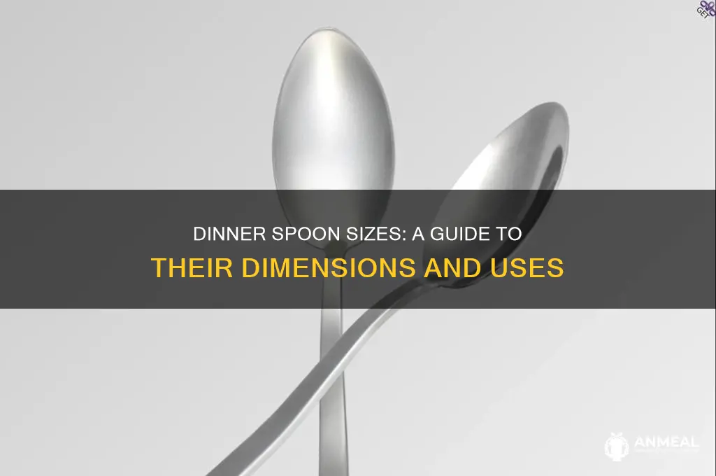 how big are dinner spoons