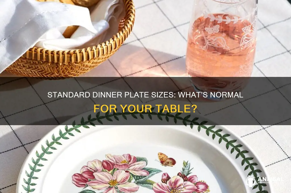 how big are normal dinner plates