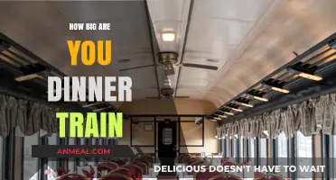 Exploring the Size and Experience of Dinner Trains: A Complete Guide