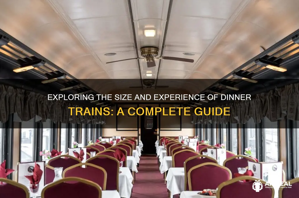 how big are you dinner train