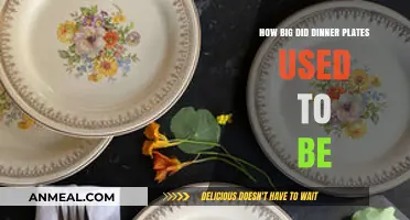 Shrinking Dinner Plates: A Historical Look at Portion Sizes