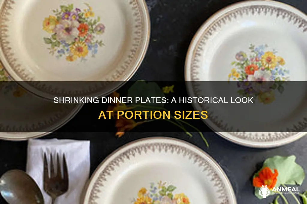 how big did dinner plates used to be
