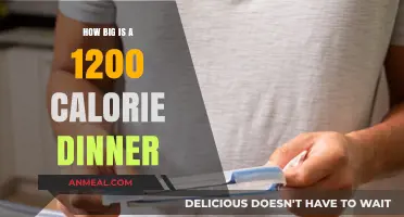 Understanding Portion Sizes: What Does a 1200-Calorie Dinner Look Like?