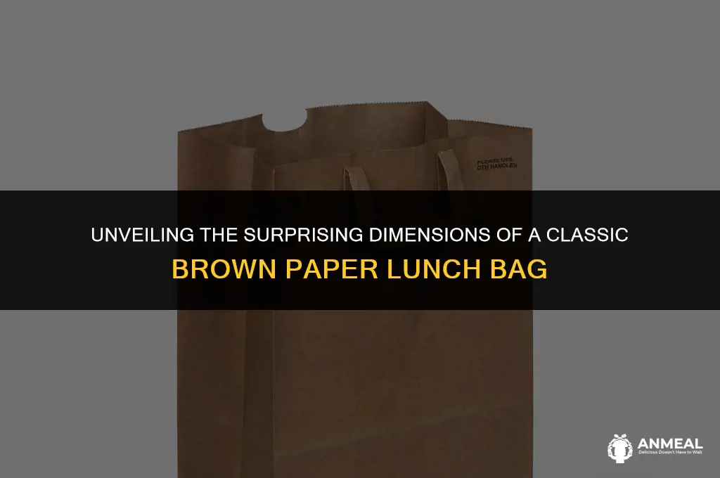 how big is a brown paper lunch bag
