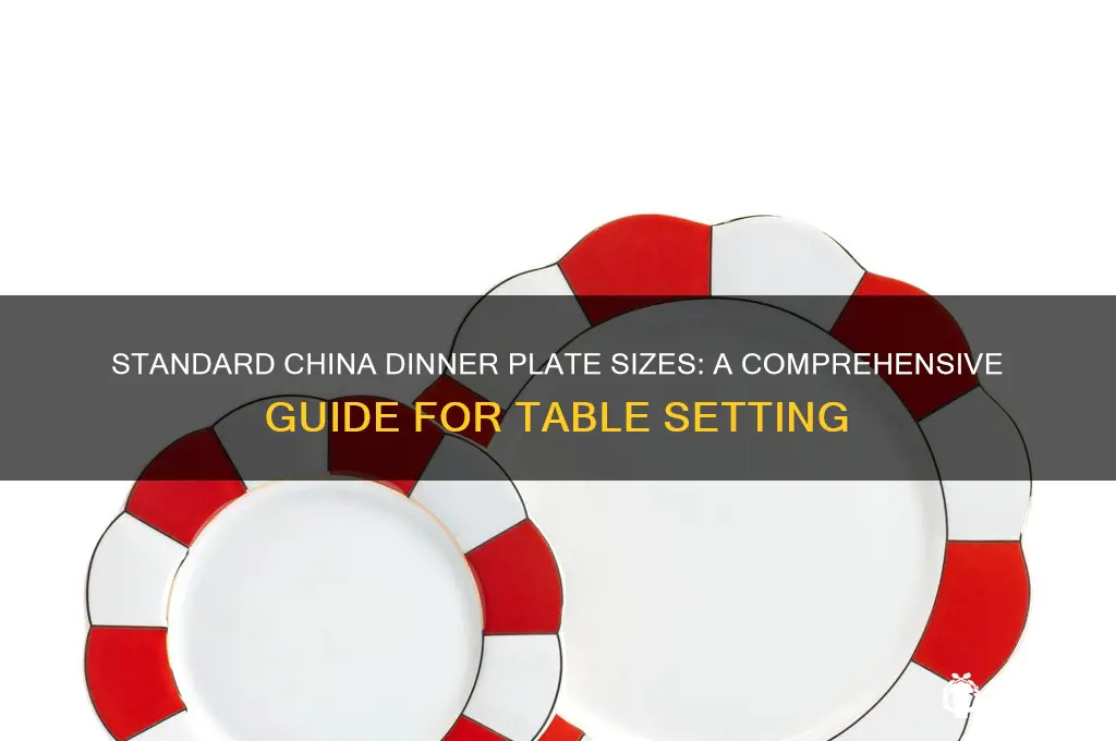 how big is a china dinner plate