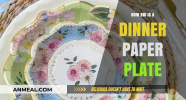 Standard Dinner Paper Plate Size Guide: Dimensions Explained