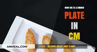 Standard Dinner Plate Size: Dimensions in Centimeters Explained