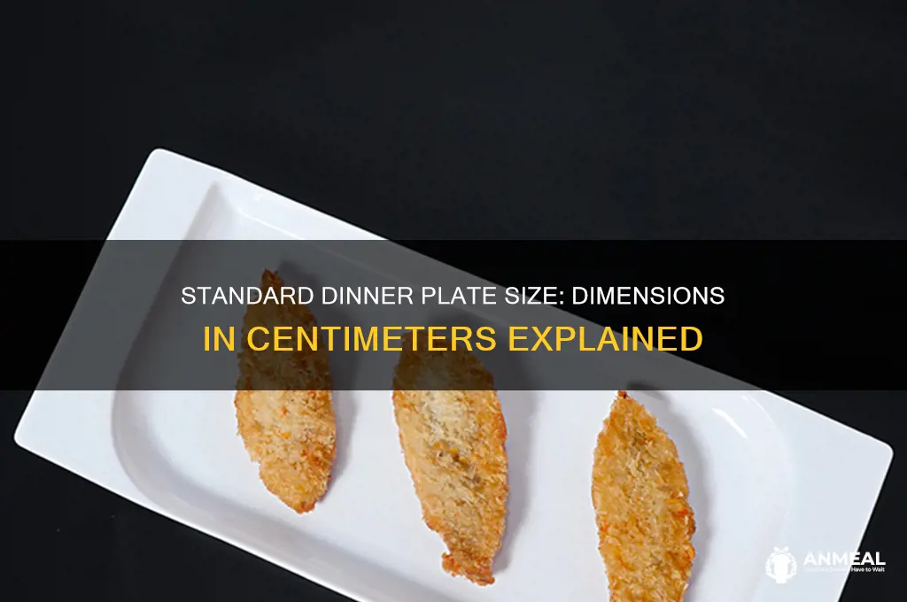 how big is a dinner plate in cm