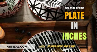 Standard Dinner Plate Size: Dimensions in Inches Explained
