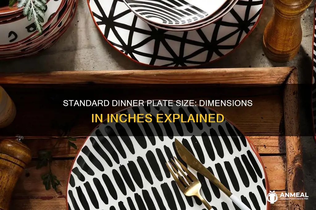 how big is a dinner plate in inches