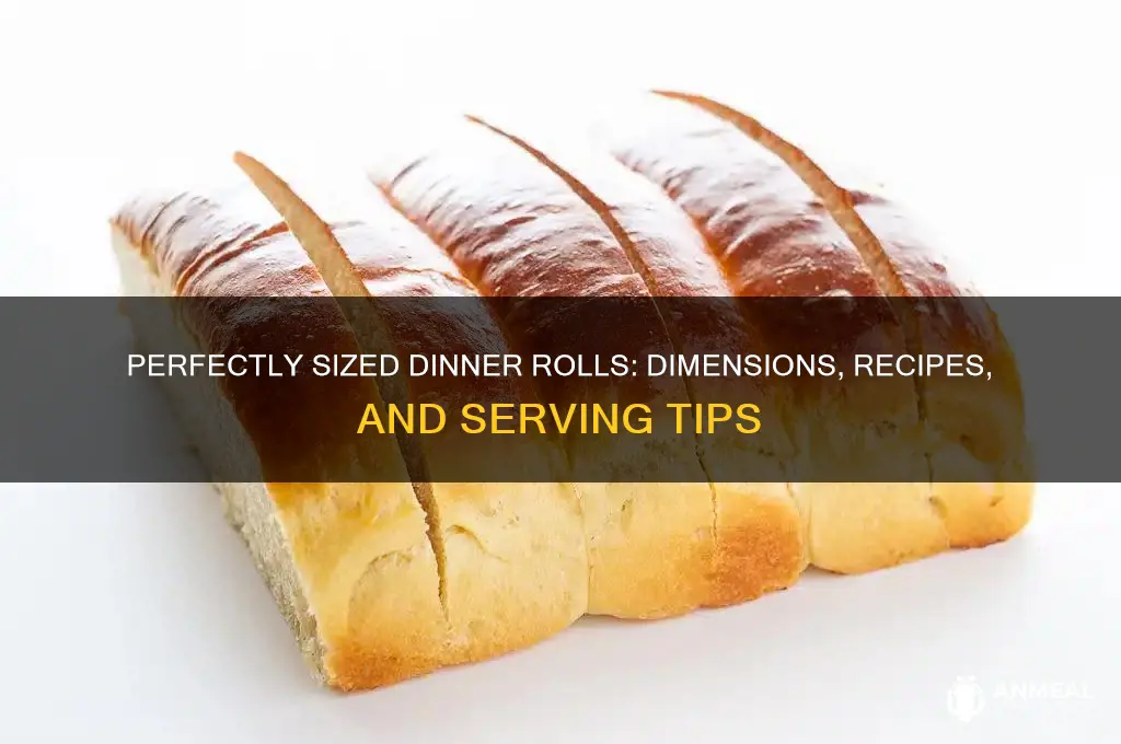 how big is a dinner roll
