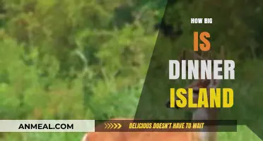 Exploring Dinner Island: Unveiling Its Surprising Size and Unique Features
