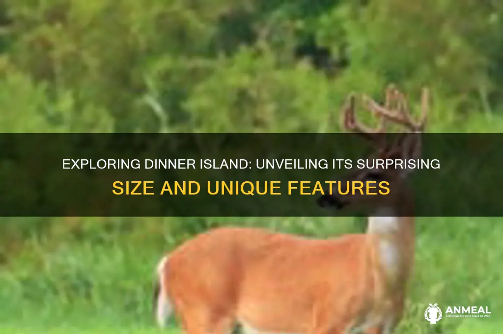 how big is dinner island