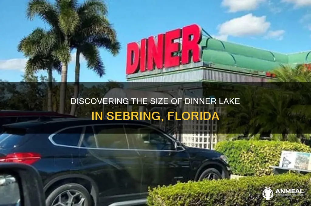 how big is dinner lake sebring fl