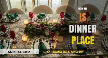 Exploring the Ideal Size for a Cozy Dinner Place Setup