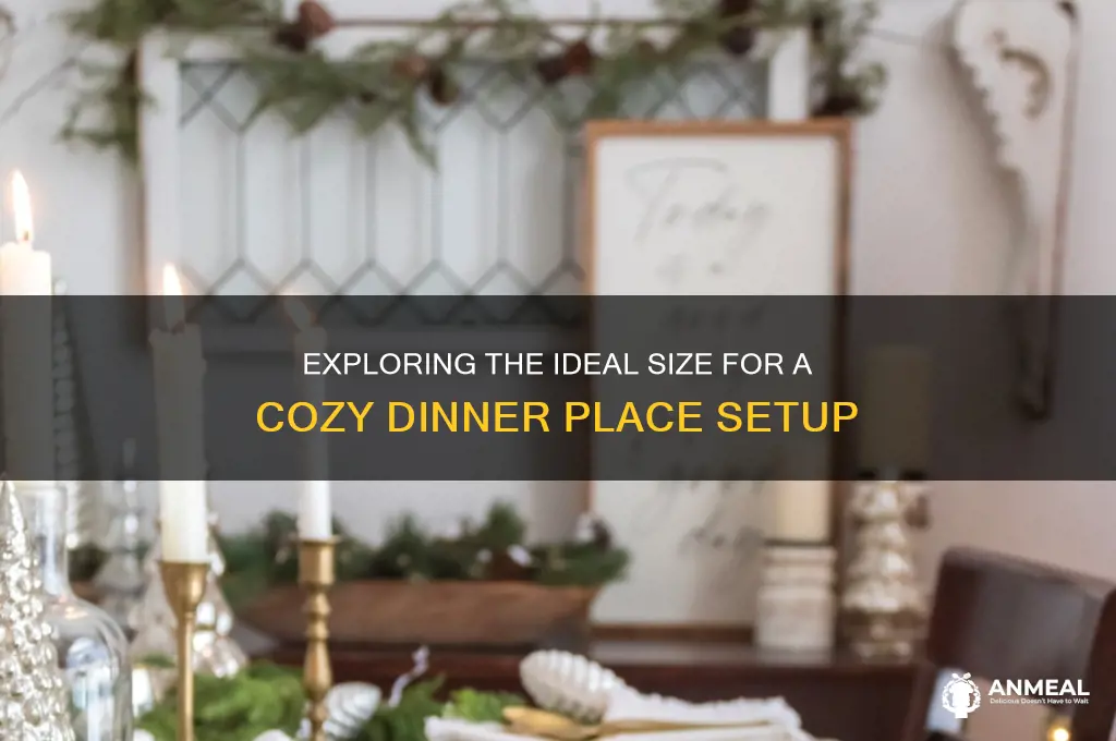 how big is dinner place