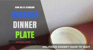 Standard Vintage Dinner Plate Sizes: A Comprehensive Guide to Dimensions