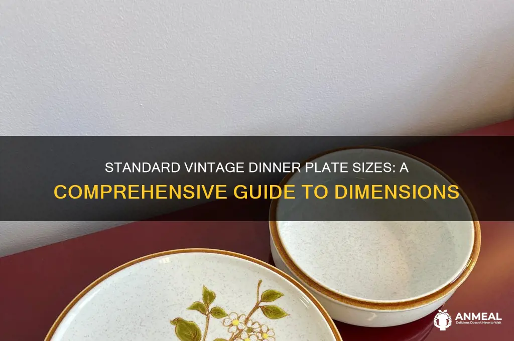 how big is standard vintage dinner plate
